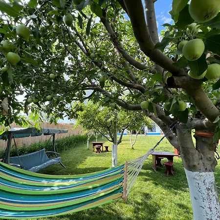 בית הארחה Casa Lebada יורילובקה